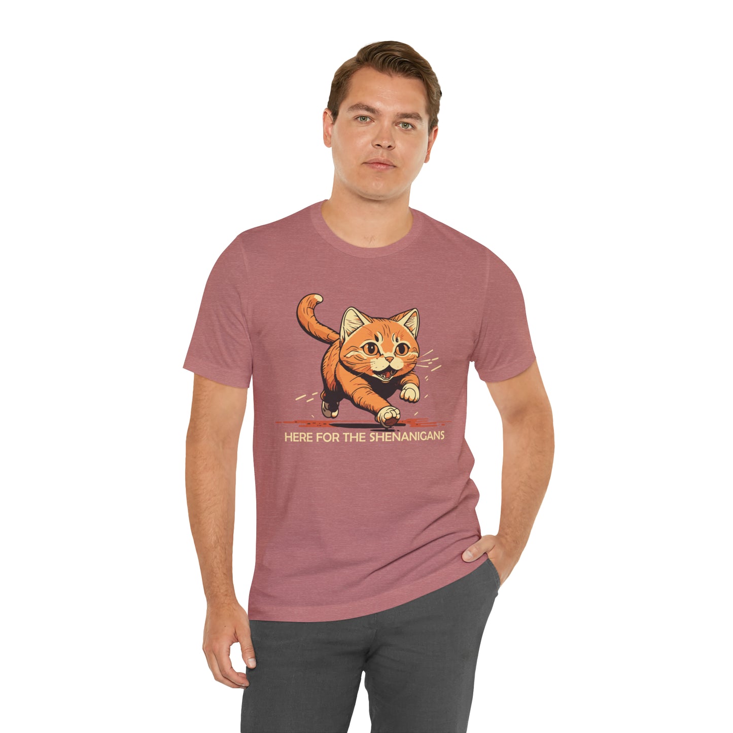 VT Here for the shenanigans tabby cat Unisex Jersey Short Sleeve Tee